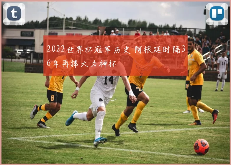 2022世界杯冠军历史 阿根廷时隔36年再捧大力神杯