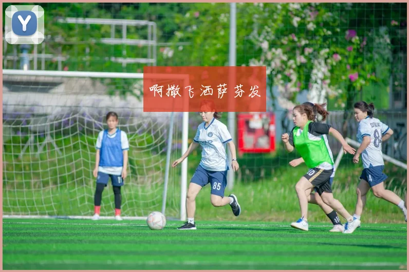 专访威尔士足球名宿：回顾与展望国家队的世界杯之旅