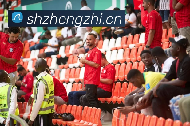 奖项证书